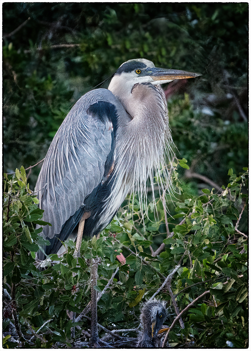 Open Reality In Class A By Terry Russo For Standing Tall SEP-2022.jpg